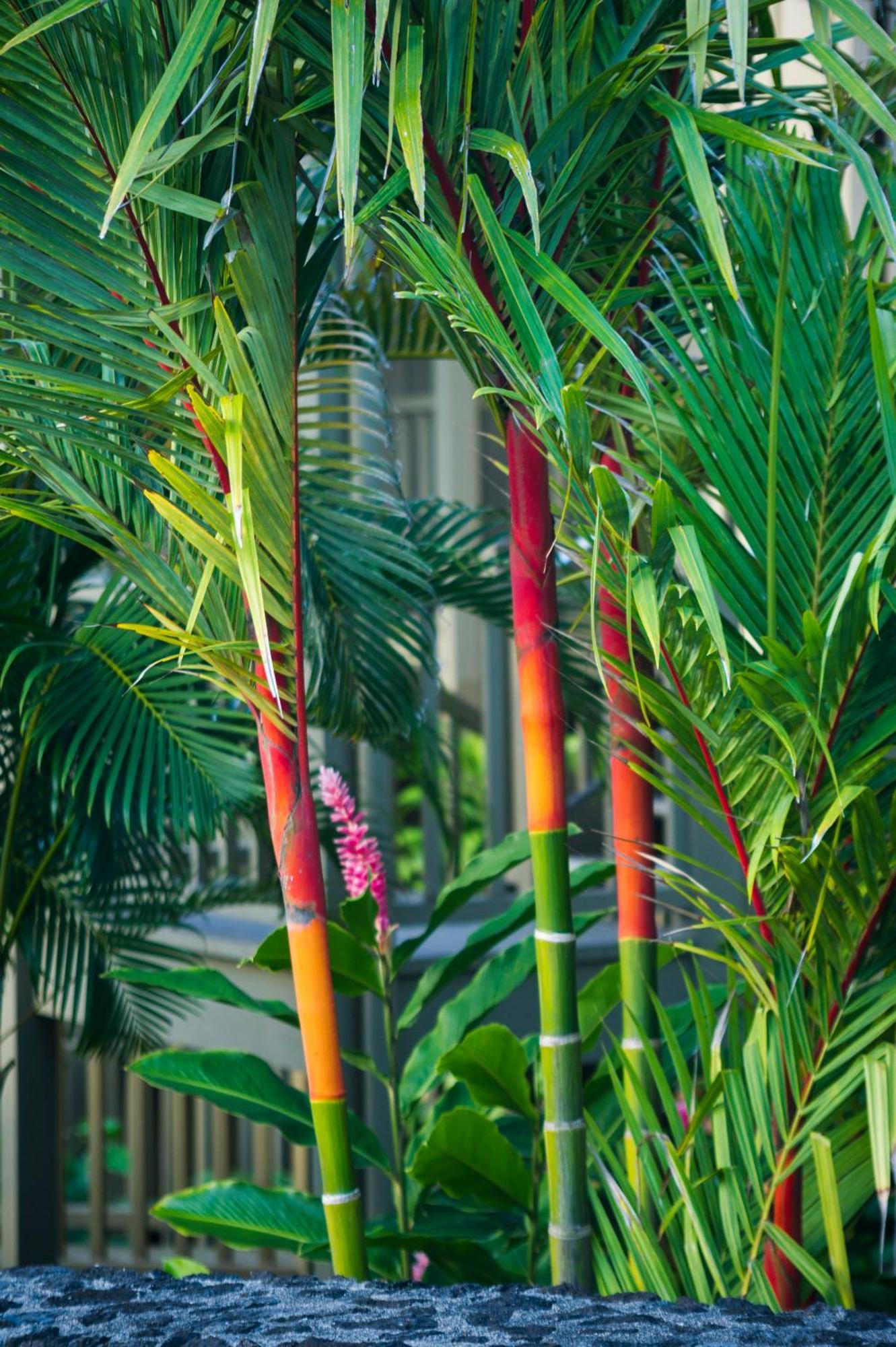 Hana Kai Maui - #106 Kuakahi Partial Oceanview Studio Exterior foto